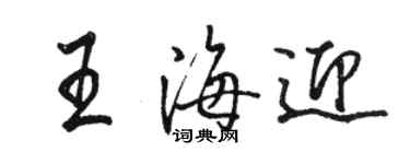 駱恆光王海迎行書個性簽名怎么寫