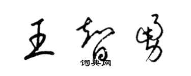 梁錦英王智勇草書個性簽名怎么寫