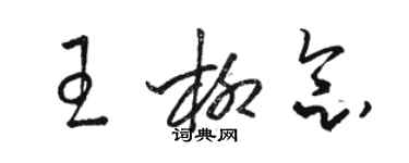 駱恆光王柳念草書個性簽名怎么寫