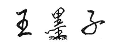 駱恆光王墨子行書個性簽名怎么寫