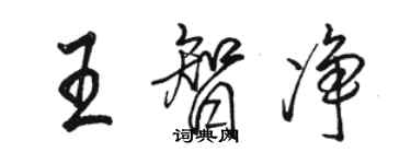 駱恆光王智淨行書個性簽名怎么寫