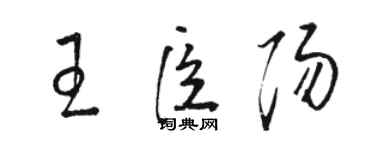 駱恆光王臣陽草書個性簽名怎么寫