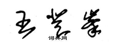 朱錫榮王登峰草書個性簽名怎么寫