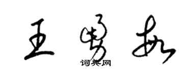 梁錦英王勇敏草書個性簽名怎么寫