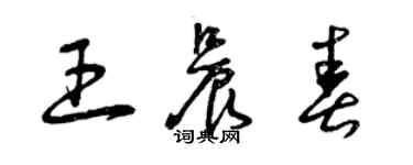 曾慶福王晨春草書個性簽名怎么寫