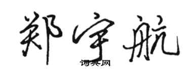 駱恆光鄭宇航行書個性簽名怎么寫