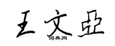 王正良王文亞行書個性簽名怎么寫