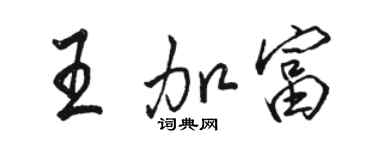 駱恆光王加富行書個性簽名怎么寫