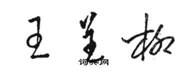 駱恆光王呈柳草書個性簽名怎么寫