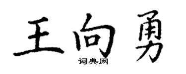 丁謙王向勇楷書個性簽名怎么寫