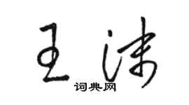 駱恆光王沫草書個性簽名怎么寫