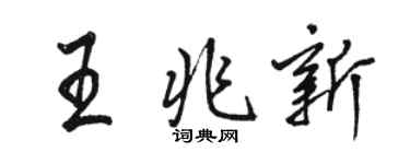 駱恆光王兆新行書個性簽名怎么寫