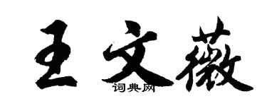 胡問遂王文薇行書個性簽名怎么寫