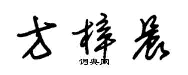 朱錫榮方梓晨草書個性簽名怎么寫