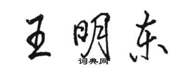 駱恆光王明東行書個性簽名怎么寫
