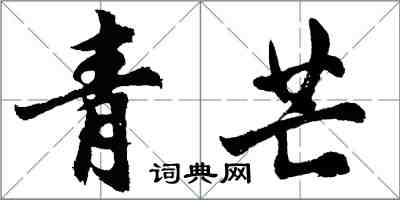 胡問遂青芒行書怎么寫