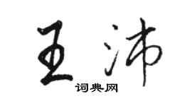 駱恆光王沛行書個性簽名怎么寫