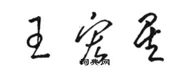 駱恆光王宏星草書個性簽名怎么寫