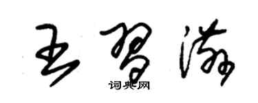 朱錫榮王習滋草書個性簽名怎么寫