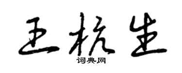 曾慶福王杭生草書個性簽名怎么寫