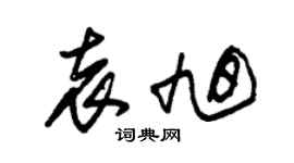 朱錫榮袁旭草書個性簽名怎么寫