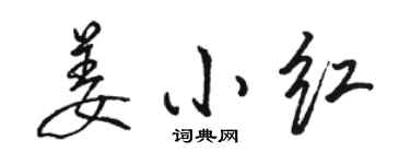 駱恆光姜小紅行書個性簽名怎么寫