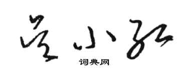 駱恆光吳小紅草書個性簽名怎么寫