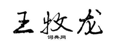 曾慶福王牧龍行書個性簽名怎么寫