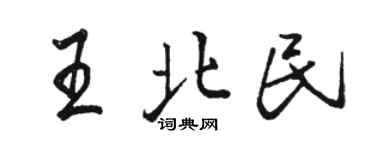 駱恆光王北民行書個性簽名怎么寫