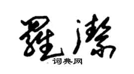 朱錫榮羅潔草書個性簽名怎么寫