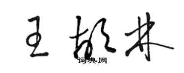 駱恆光王胡林草書個性簽名怎么寫