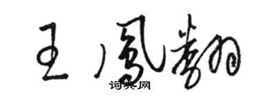 駱恆光王鳳翻草書個性簽名怎么寫