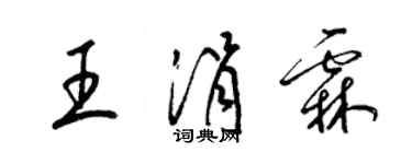 梁錦英王涓霖草書個性簽名怎么寫