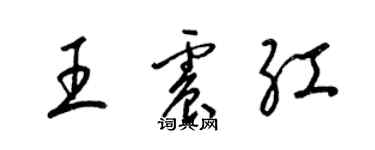 梁錦英王震紅草書個性簽名怎么寫