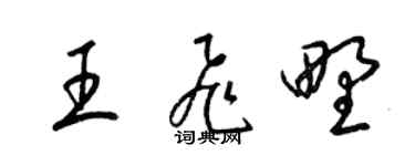 梁錦英王飛野草書個性簽名怎么寫