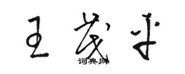 駱恆光王茂平草書個性簽名怎么寫