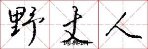 野丈人怎么寫好看