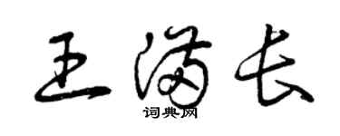曾慶福王滿長草書個性簽名怎么寫