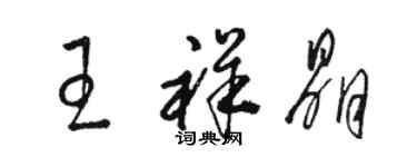 駱恆光王祥晶草書個性簽名怎么寫