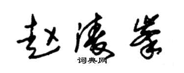 朱錫榮趙凌峰草書個性簽名怎么寫