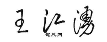 駱恆光王江涌草書個性簽名怎么寫