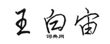 駱恆光王白宙行書個性簽名怎么寫