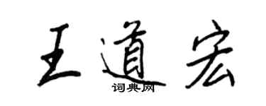 王正良王道宏行書個性簽名怎么寫