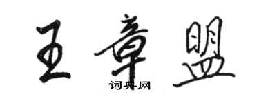 駱恆光王章盟行書個性簽名怎么寫