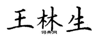 丁謙王林生楷書個性簽名怎么寫
