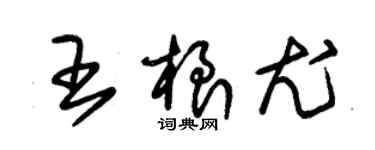 朱錫榮王根尤草書個性簽名怎么寫