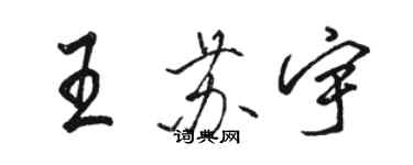 駱恆光王蘇宇行書個性簽名怎么寫