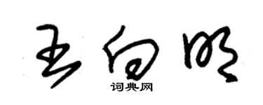 朱錫榮王向明草書個性簽名怎么寫