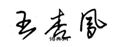 朱錫榮王杏鳳草書個性簽名怎么寫