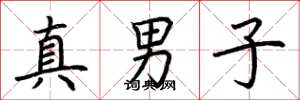 荊霄鵬真男子楷書怎么寫
